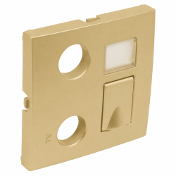90774 TDU: Kryt z�suvky R-TV-RJ45, zlat�